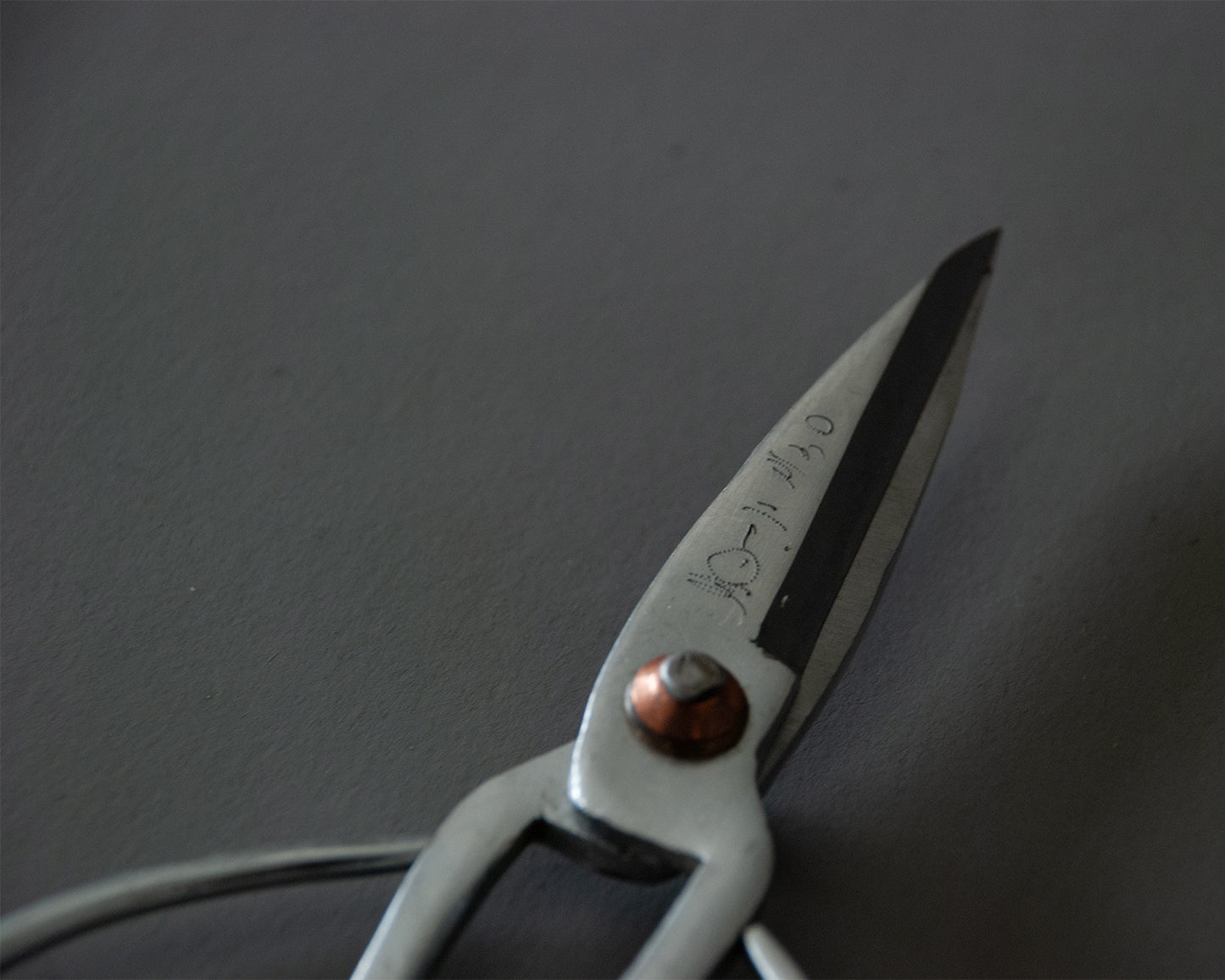 Short Shears (Large)